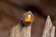 Brass metal tiger eye mineral stone ring on natural background