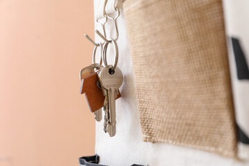 Holder with keys hanging on color wall, closeup