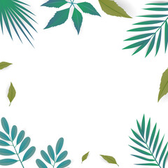 Wall Mural - Palm leaf and leaf frame with copy space for text  , isolated on white background , illustration Vector EPS 10