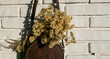 © Martin - Flores secas de Marcela  (Achyrocline satureioides) usadas para hacer té digestivo