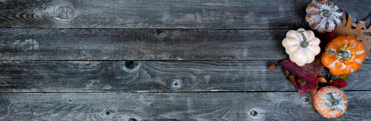 Poster - Autumn theme consisting of pumpkins, leaves and acorns on weathered wood for Thanksgiving or Halloween holiday