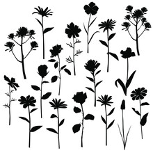 Vector Silhouettes Of Garden And Field Spring Flowers With Leaves, Flowering Plants, Twigs, Floral Designe, Hand Drawing, Black Color, Isolated On A White Background