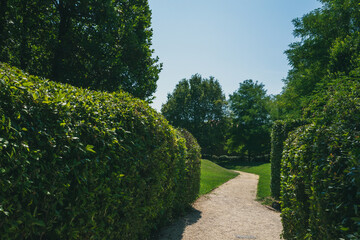 Wall Mural - Park of Vergini in Venice, Italy