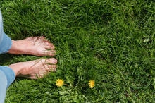 Bare Feet Of Woman Standing In Lush Green Grass
