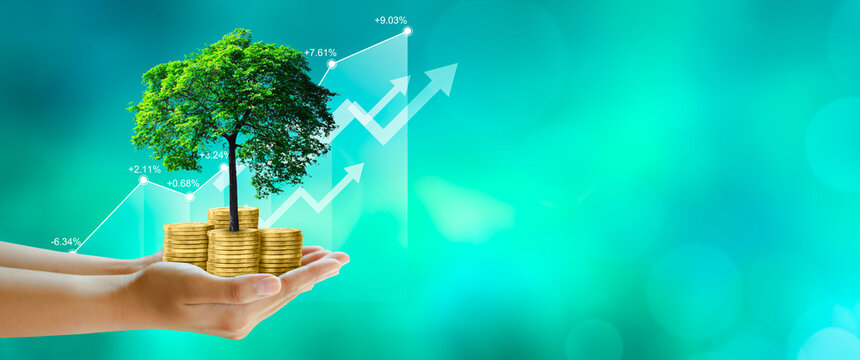 Wall Mural -  - Hand holding Growing tree on coins with stock graph over Green background. Saving ecology, csr green business, business ethics, good governance, investment ideas, and business growth Concept.