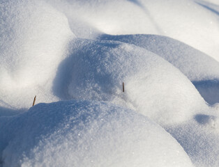 snow in winter frozen and cold, nature after snowfall