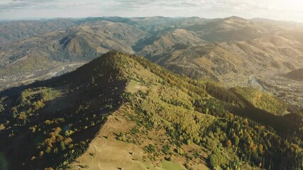 Wall Mural - Green forest mountain top aerial. Carpathians travel destination. Pine trees, meadows, river, rural road, tourist trail. Beautiful wild landscape. Summer, outdoor tourism, hiking. Drone flight shot