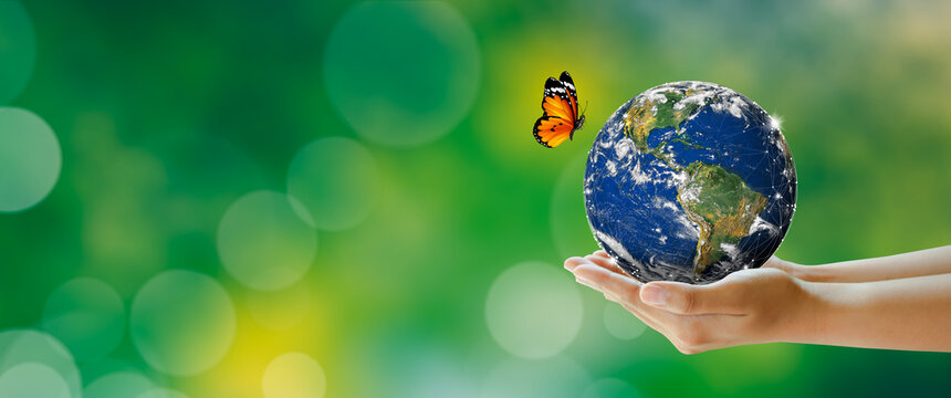 Wall Mural -  - Hand holding earth with butterfly over green blur background. Saving Planet, Protect green nature and ecology, Sustainable lifestyle. World Environment and Green concept. Elements furnished by NASA.