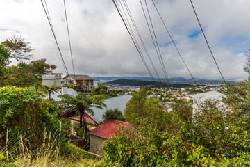 Wall Mural - Wellington city view from Brooklyn, New Zealand