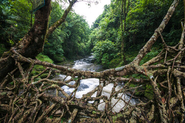 Wall Mural - A village homestay at Mawlynoong, the Asia's cleanest village near Cherrapunji, Meghalaya of India and tranquil nature with natural root bridge. A great tourist spot.