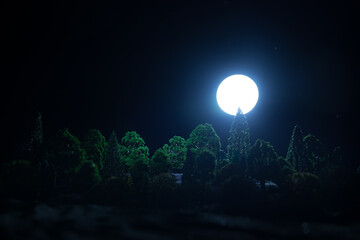 Wall Mural - mountain road through the forest on a full moon night. scenic night landscape of country road at nig