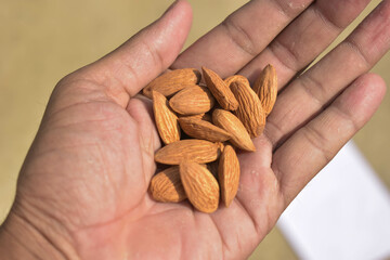 Poster - Soft focus of whole almonds on a person's hand