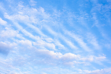 Wall Mural - blue sky with white fluffy clouds, copy space, abstract background