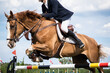 Equestrian Sports photo themed: Horse jumping, Show Jumping, Horse riding competition

