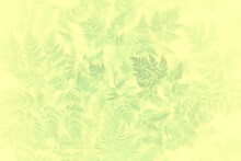 Green Vintage Background Leaves Grass / Abstract Unusual Background Vintage Look