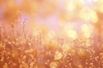 abstract summer background texture of yellow flowers in the field, beautiful nature sunny day wild flower