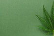 Leaf of cannabis on green background.