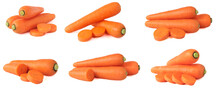 Collection Of Fresh Carrots Isolated On White Background
