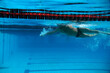 © vadimdem - Swimmer in the swimming pool