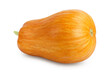 butternut squash isolated on white background with clipping path and full depth of field