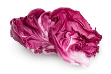 Fresh Red Radicchio Salad Leaf Isolated On White Background With Clipping Path And Full Depth Of Field