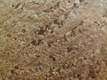 Wood Texture Extreme Close Up