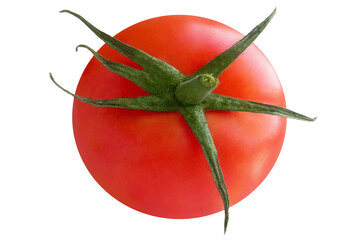 Fresh red tomato with green stem on white background