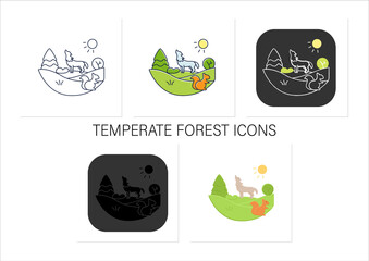 Wall Mural - Temperate forest icons set.Forest found between tropical,boreal regions,located in temperate zone.Animals living place.Collection of icons in linear, filled, color styles.Isolated vector illustrations