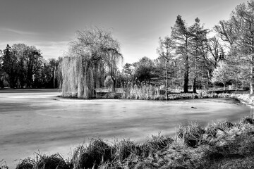 Sticker - A frozen lake and deciduous trees in a park during winter