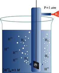 Fototapete - standard hydrogen electrode is a reference electrode on all half-cell potential reactions, that is c