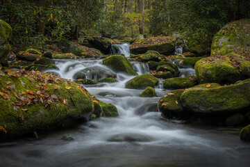 Wall Mural - Low Angle of Water Rushing Around Mossy Boulders