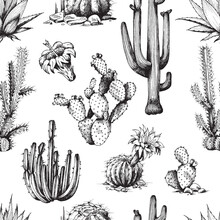 Seamless Pattern With Cactuses, Monochrome Engraving Vector Illustration.