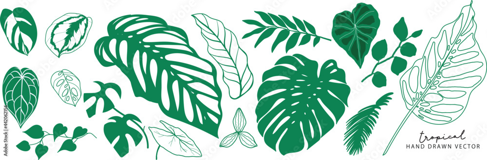 Tropical leaves collection. Vector isolated elements on the white background. summer clipart - obrazy, fototapety, plakaty 
