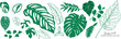 © babeer - Tropical leaves collection. Vector isolated elements on the white background. summer clipart