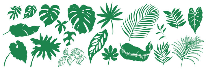 Tropical leaves collection. Vector isolated elements on the white background. summer clipart