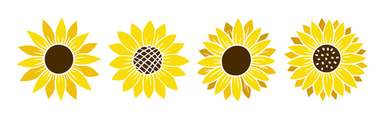 Sunflower simple icon. Flower silhouette vector illustration. Sunflower graphic logo, hand drawn icon for packaging, decor. Petals frame, black silhouette isolated on white background