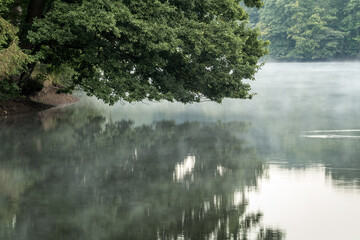 Wall Mural - Nebel schwebt über dem Wasser