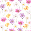 Floral pattern with buds flowers cosmos, coreopsis and marguerite. Watercolor delicate seamless print on white background.
