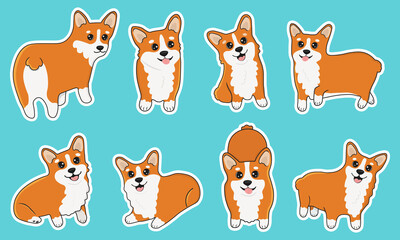  Set of welsh corgi in cartoon  style. Collection of dog characters, flat illustration for design, decor, print, stickers, posters. Vector illustration isolated on a white background.