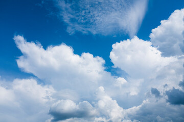 Poster - white clouds in the blue sky in summer