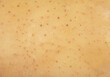 Potato texture pattern. Macro shot potato texture background. Fresh potato skin surface