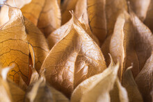Background Of Pile Of Physalis
