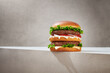 © ADDICTIVE STOCK - Appetizing double burger on gray background