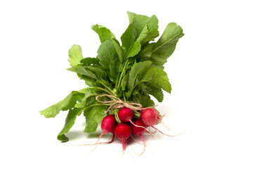 Wall Mural - A bunch of fresh pink radishes for salad isolated on a white background.