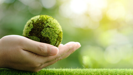 Wall Mural - Close up of hands holding the earth on a green background. protect nature. Save Earth. concept of the environment World Earth Day