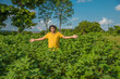 © Dip Photography - A young man farmer in a cotton farm examines and observing the field.