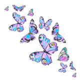 Fototapeta Motyle - beautiful color butterflies, set, watercolor,  isolated  on a white