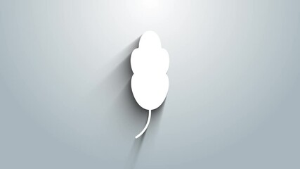 Poster - White Feather icon isolated on grey background. 4K Video motion graphic animation