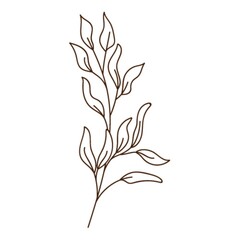 Wall Mural - abstract twig with leaves. A blade of grass. Autumn time. Botanical, plant design element with outline. Doodle, hand-drawn. Flat design. Black white vector illustration. Isolated on white.