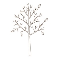 Sticker - A bare tree with fallen leaves. Botanical, plant design element with outline. Doodle, hand-drawn. Flat design. CoBlack white lor vector illustration. Isolated on a white background.